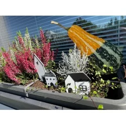 Set 5 ks - Domečky do květináčů