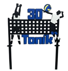 Volejbalisté v akci + jméno...