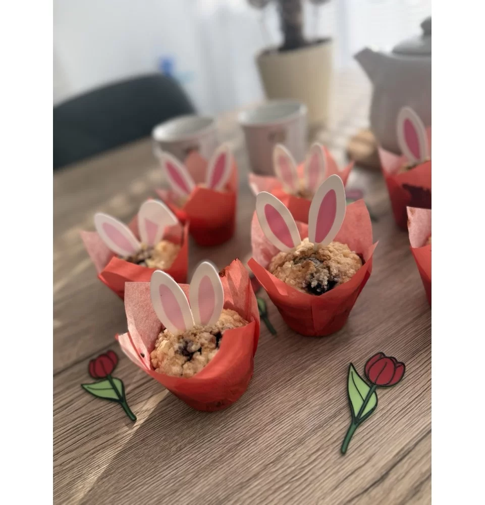 Zaječí uši SET 12 párů